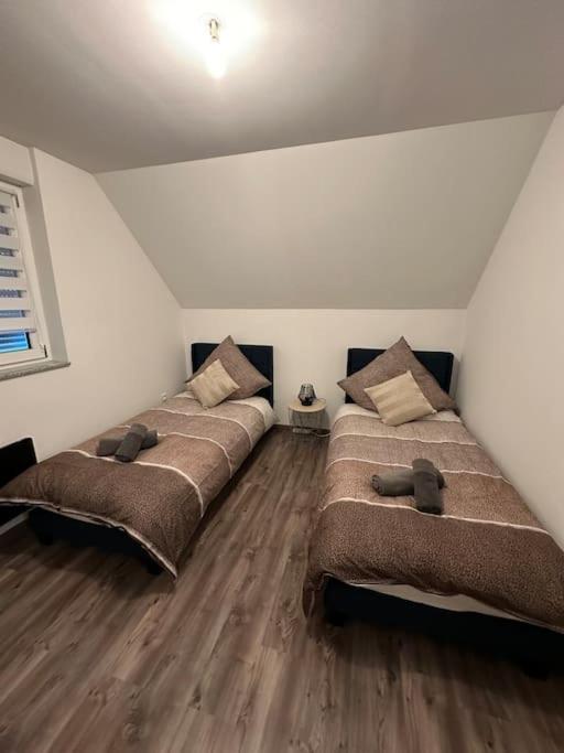 Appartement Algo Algolsheim Экстерьер фото